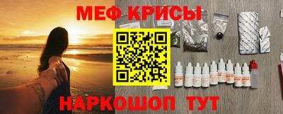 молекула духа Кингисепп