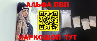 молекула духа Кингисепп