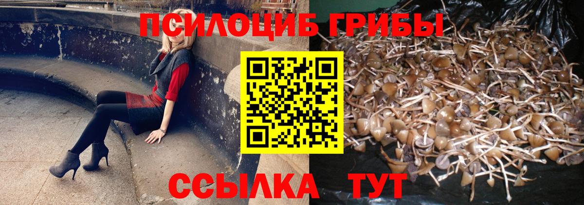 Галлюциногенные грибы MAGIC MUSHROOMS  Галлюциногенные грибы мухоморы  сколько стоит  Барабинск  Вход с VPN 